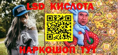 прущие грибы Нальчик