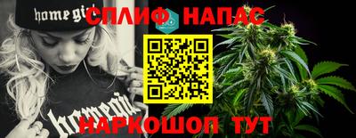 прущие грибы Нальчик