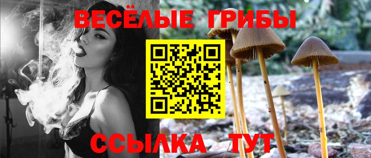 Псилоцибиновые грибы ЛСД Славянск-на-Кубани
