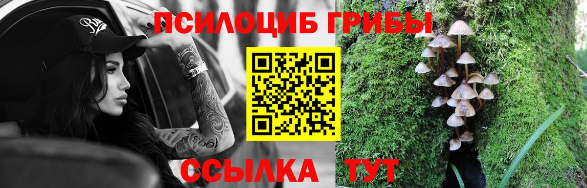 Лсд 25  КОКАИН  Вход с VPN  Славянск-на-Кубани  Конопля  Меф кристаллы  ГАШ 