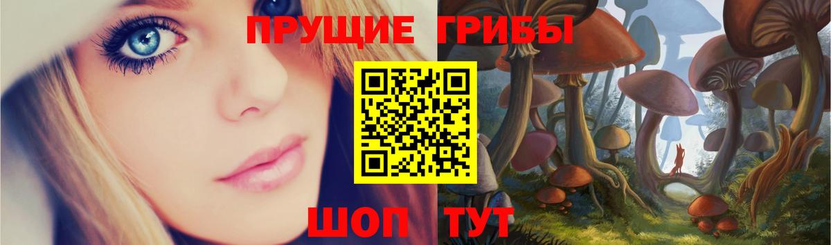 Славянск-на-Кубани  дарнет шоп  Вход с VPN  Галлюциногенные грибы MAGIC MUSHROOMS 